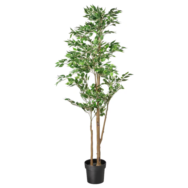 FEJKA artificial plant Weeping fig 21cm