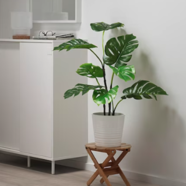 FEJKA Artificial plant, Monstera 19cm