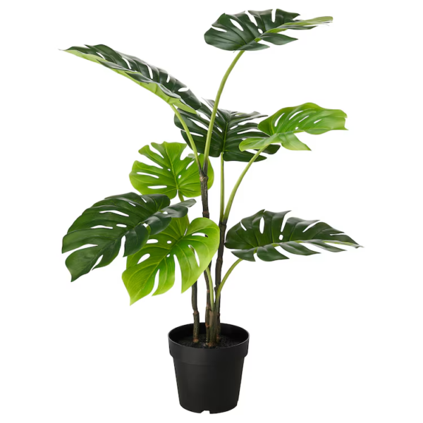 FEJKA Artificial plant, Monstera 19cm